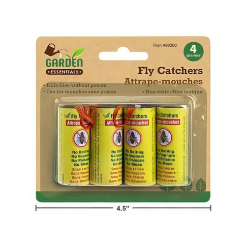 fly catchers