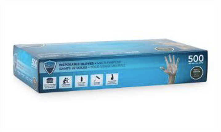 SANI-GUARD DISPOSABLE LDPE GLOVES S/M 500/PK X (Bx/10)