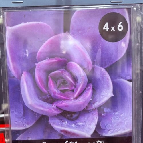 magnet photo frame