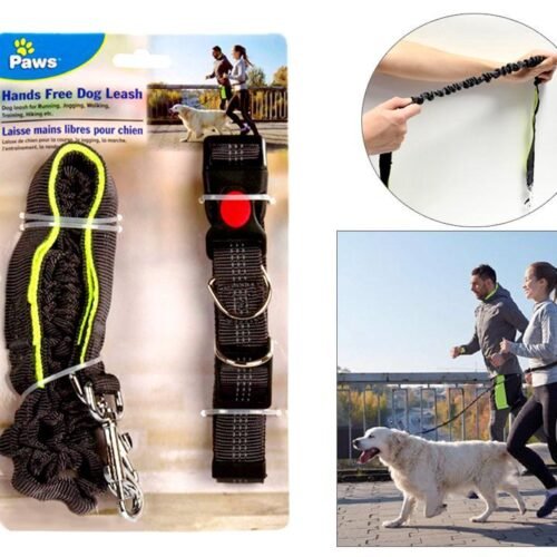 dog leash