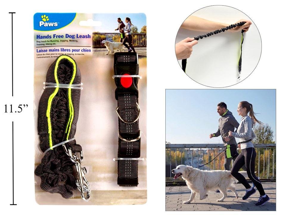 dog leash