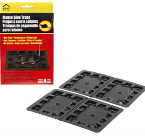 mouse glue traps (pk/4)