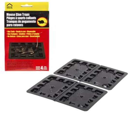 mouse glue traps (pk/4)