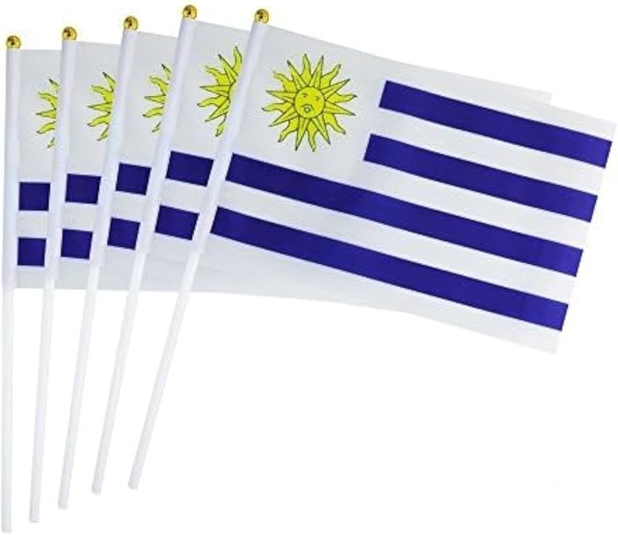 uroguay flag stick (45x30cm)