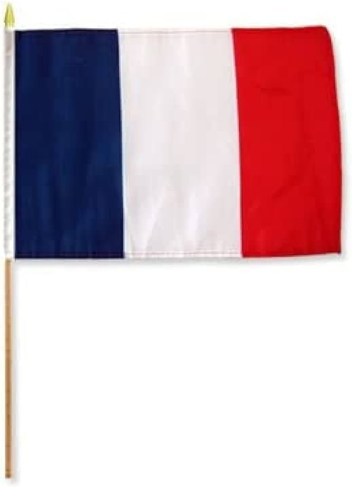 france flag stick (45x30cm)