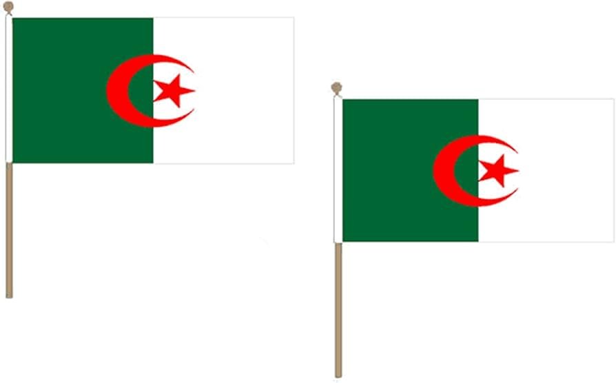 algeria flag stick (45x30cm)