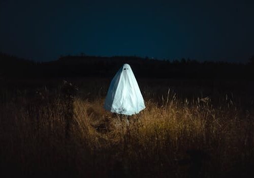 Halloween Costume