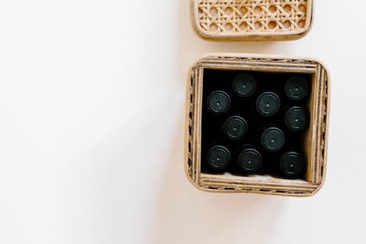 Waste Basket 11L (11x7x12")