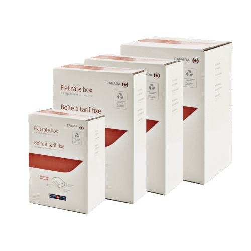 flat rate box 39 x 26 x 12.3 cm medium prepaid (pk/12)