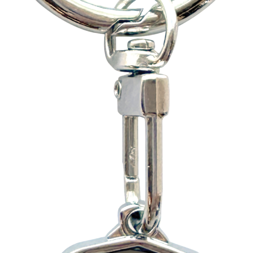 lucky loonie in keychain (2026)