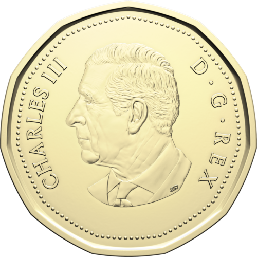 lucky loonie in keychain (2026)