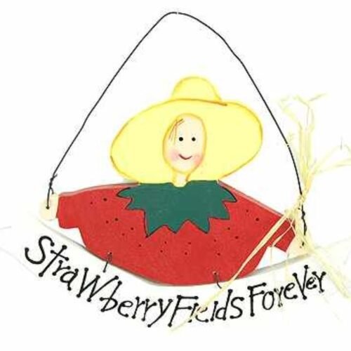 Wall Plaque, "Strawberry Field Forever", bag