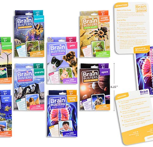 BRAIN BUSTERS FLASH CARDS